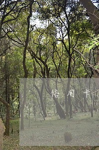 信用卡逾期仍在还款 算诈骗 信用卡逾期仍在还款 算诈骗